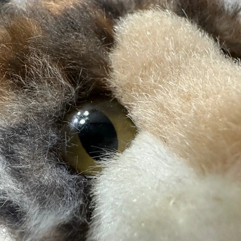 Douglas Cuddle Toys Cosmo Tortoiseshell Cat Plush 12